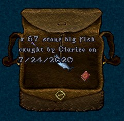 Big Fish 2.jpg