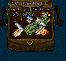 upload_2020-7-26_0-4-4.png