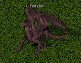 Dragon hued.jpg