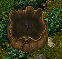 CompatWindow-003121.png