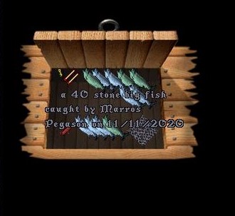 Marros Pegason_Unknown_11-11_17.56.jpg