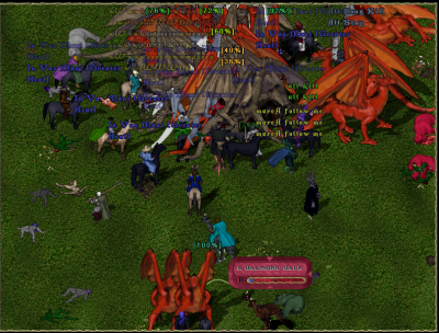 zook2.png