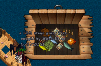big fish 3.png