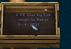 Bud Fish 2.PNG