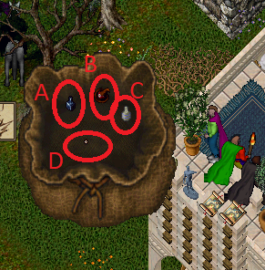 Annybag1.png