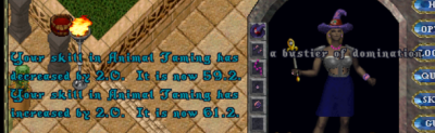 Capture4444433.PNG