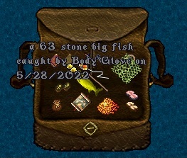 BodyGlove3.jpg
