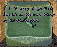 Fish#5.jpg