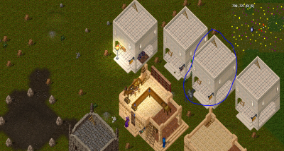 yew.PNG