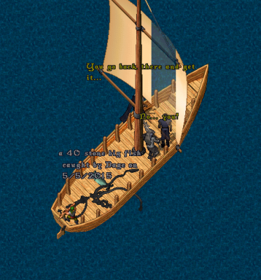 40.png