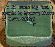 Fish#13.jpg
