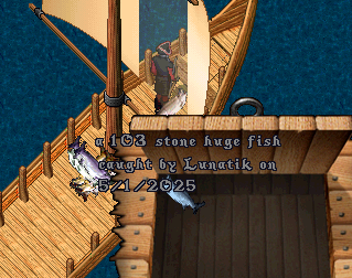 upload_2025-5-1_15-41-7.png