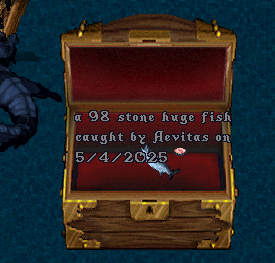 upload_2025-5-4_3-10-38.png