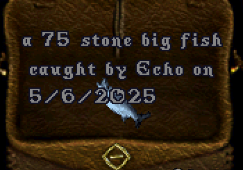 upload_2025-5-6_20-19-43.png